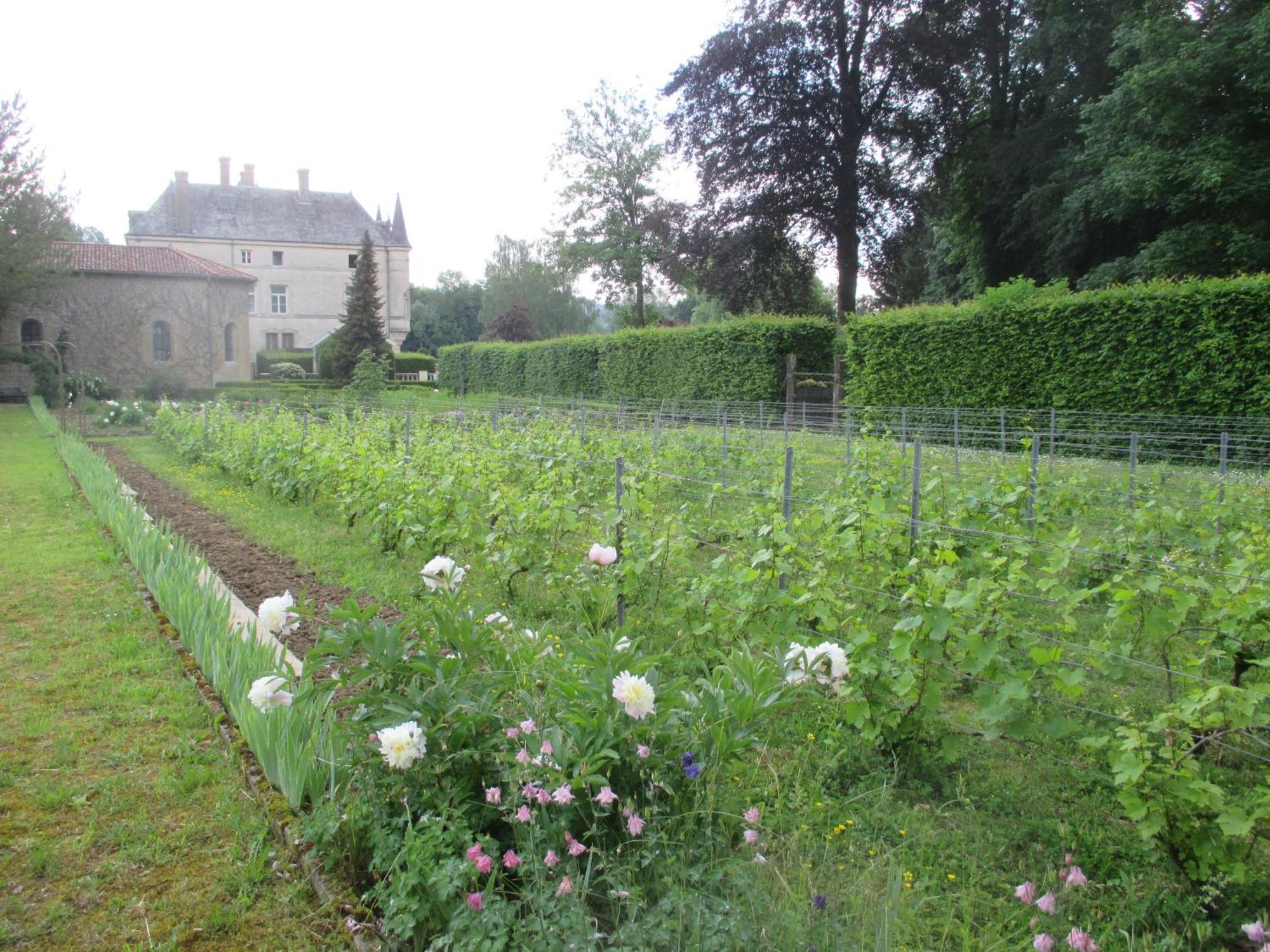 Chateau Des Monthairons Hotel Restaurant Gastromaison Spa Privatif Les Monthairons ภายนอก รูปภาพ